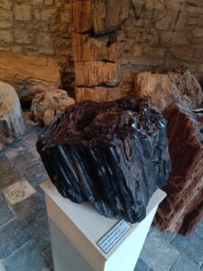 WhatsApp Image 2025-10-26 at 19.38.52 (3)