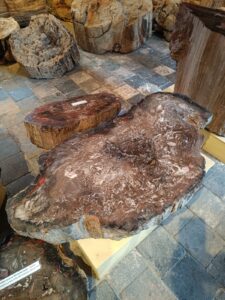 WhatsApp Image 2025-10-26 at 19.38.52 (4)