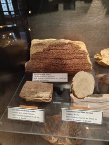 WhatsApp Image 2025-10-26 at 19.38.53 (1)