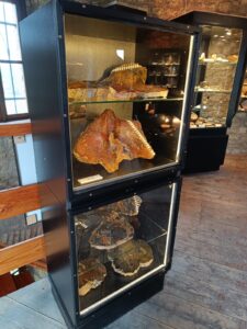 WhatsApp Image 2025-10-26 at 19.38.53 (2)