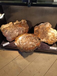 WhatsApp Image 2025-10-26 at 19.38.53 (5)