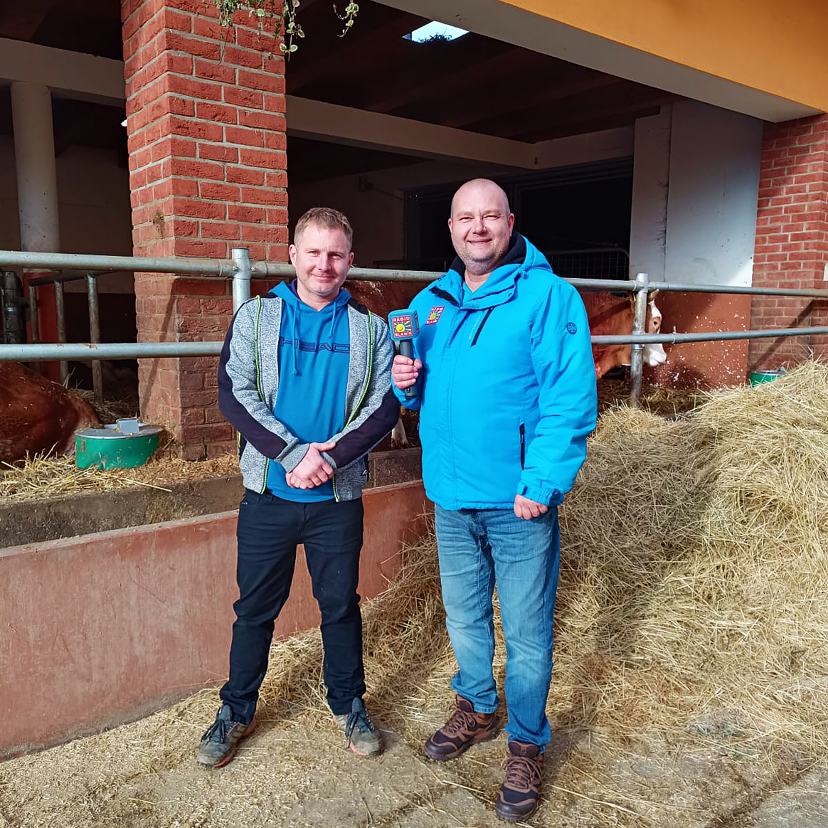 Nejspokojenější krávy v Praze a poctivé jídlo přímo ze dvora. To je Farma Zadní Kopanina