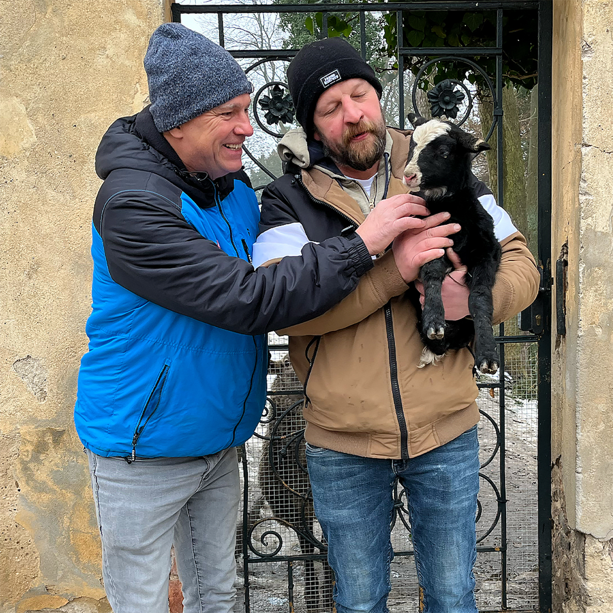 Zámek v Brandýse hlásí radostnou novinu: Mají tu beránka Blaník!