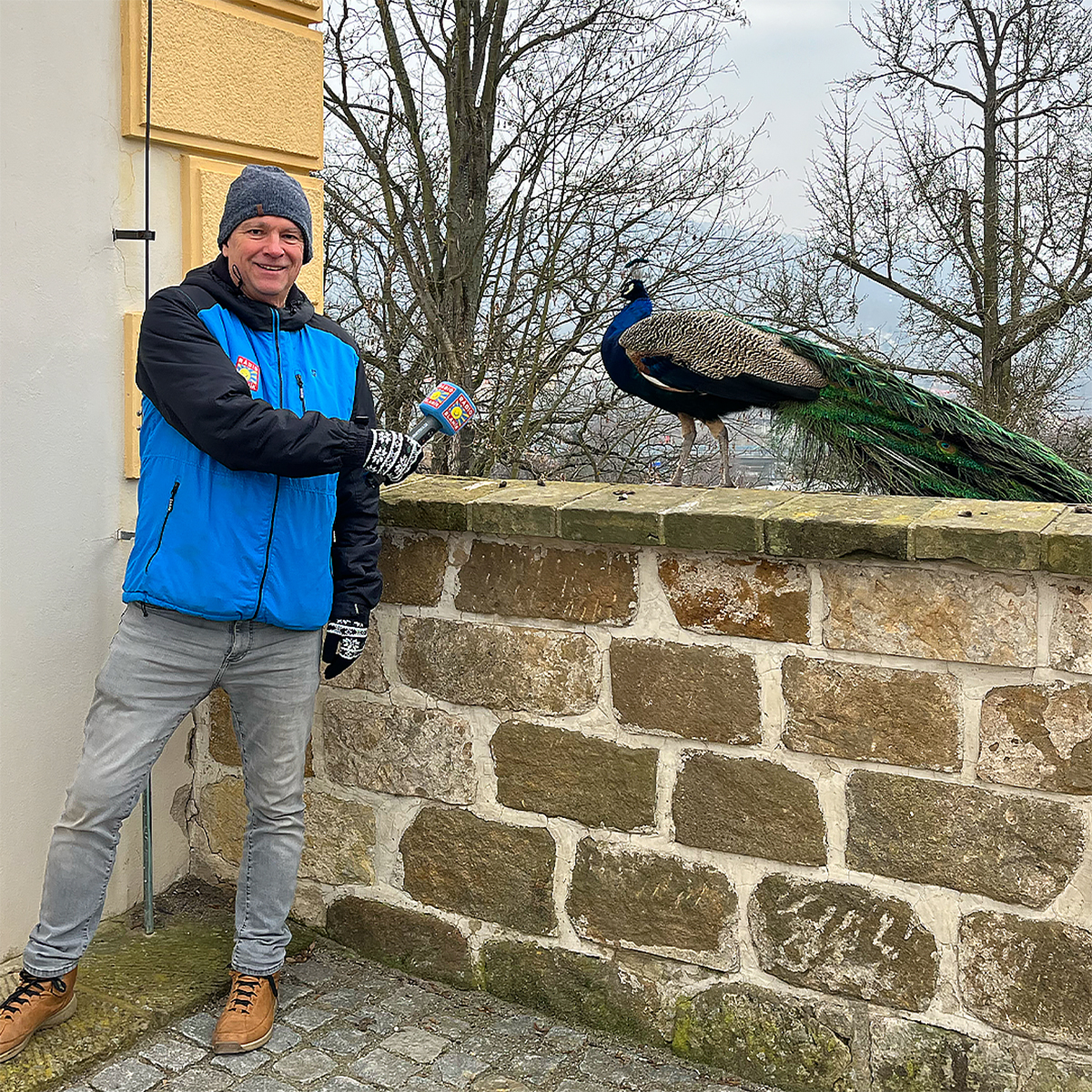 Vyrazte za historií na sever: Zámek Děčín nabízí mnohem víc než jen krásný výhled
