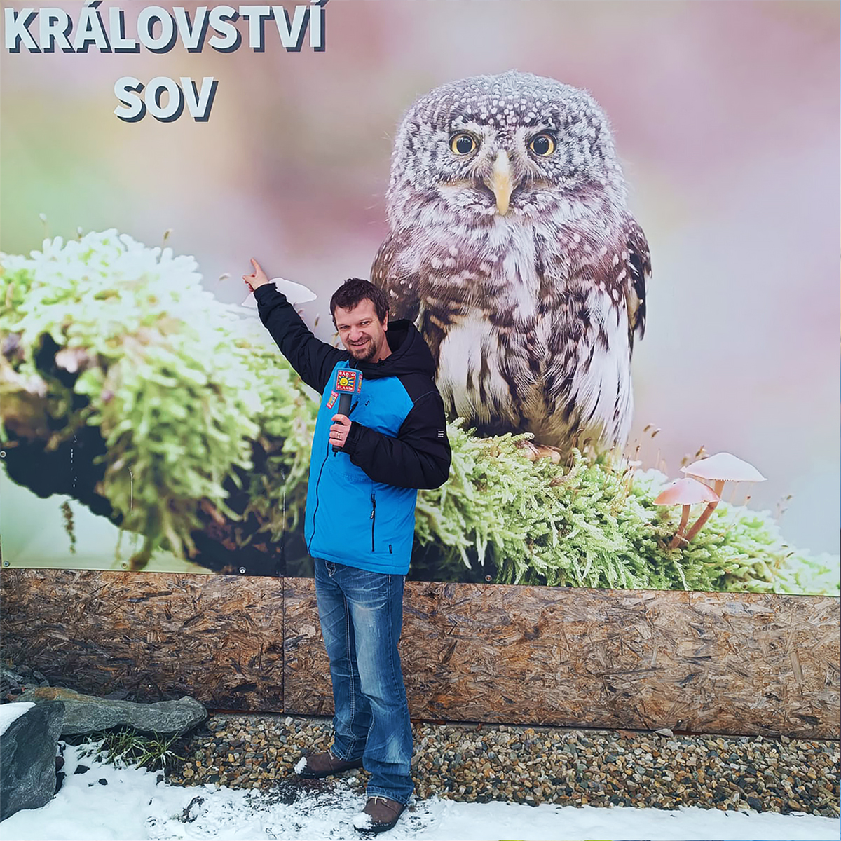 Tváří v tvář nočním lovcům: Navštivte Království sov v Králíkách