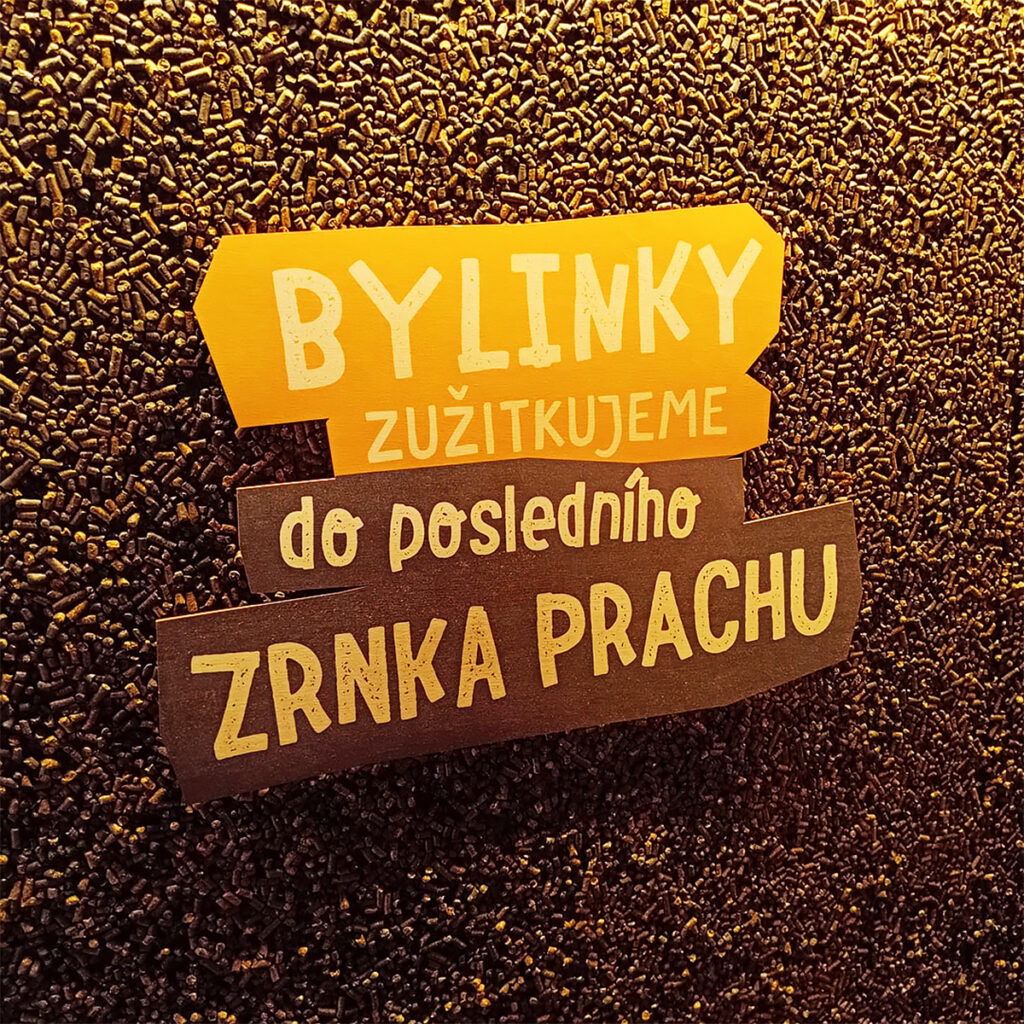 Bylinkový ráj Sonnentor v Čejkovicích