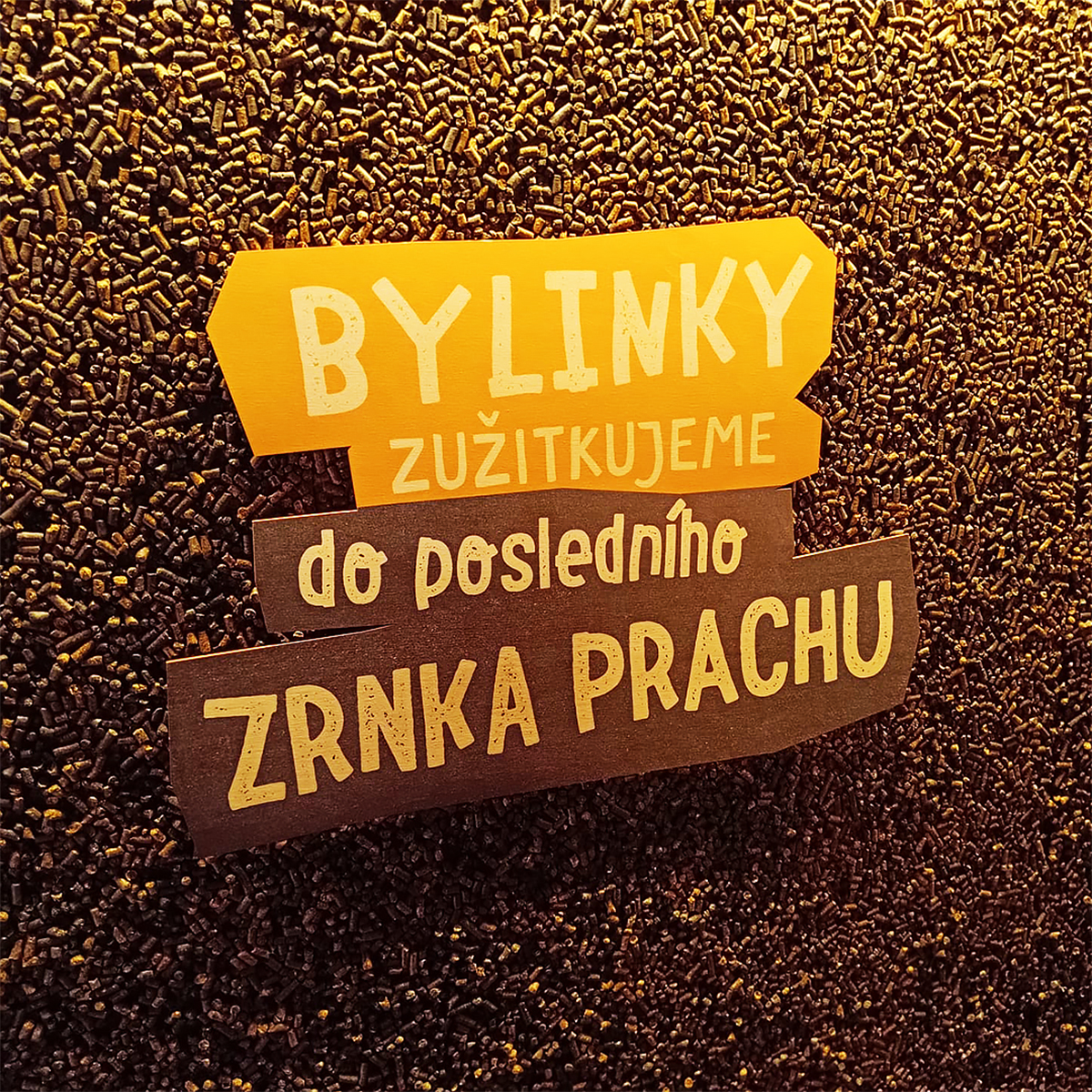 Voňavý výlet plný bylinek: Vlasta Suk objevuje Bylinkový ráj Sonnentor v Čejkovicích!