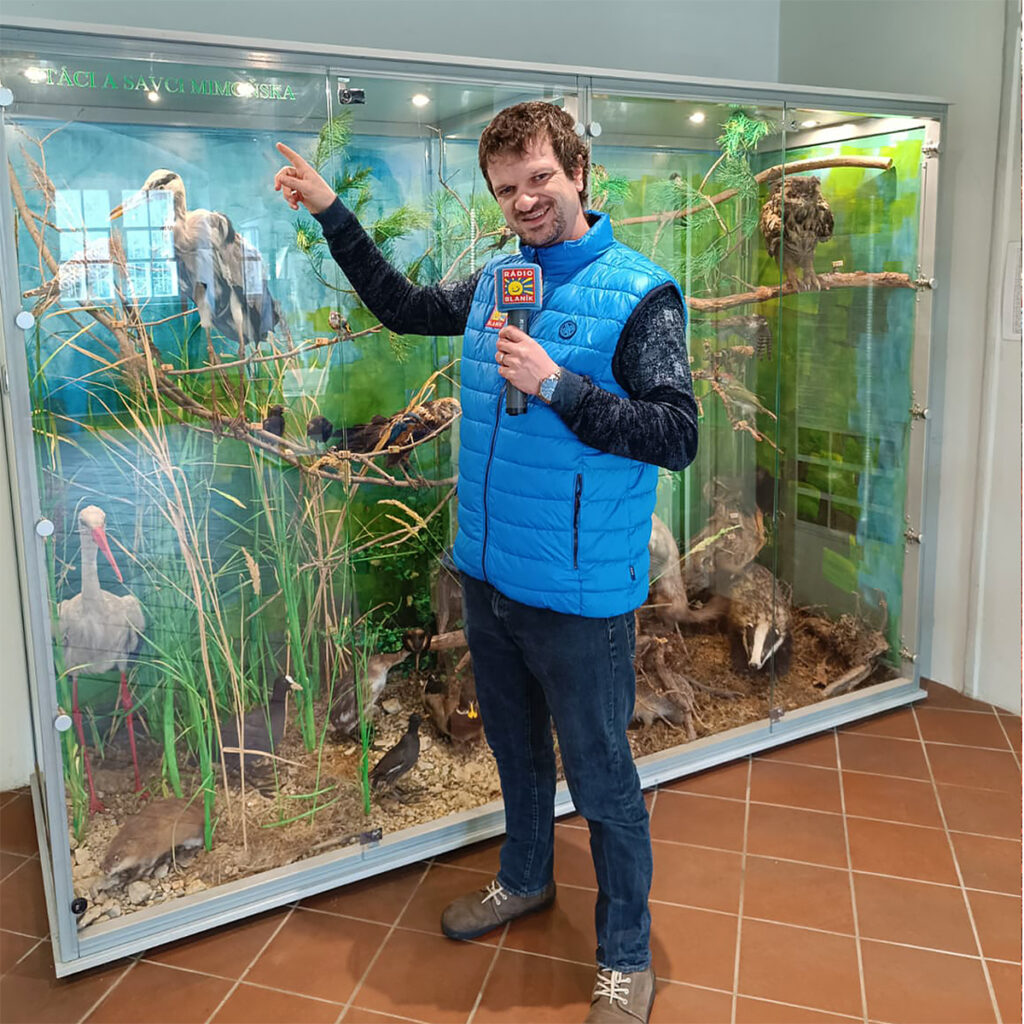 Městské muzeum v Mimoni