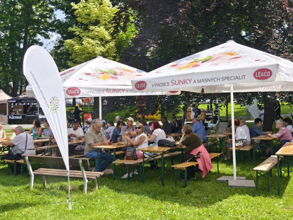 LK25-Hradec-Kralove-010