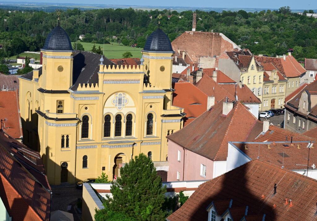 LK25-Zatec-073