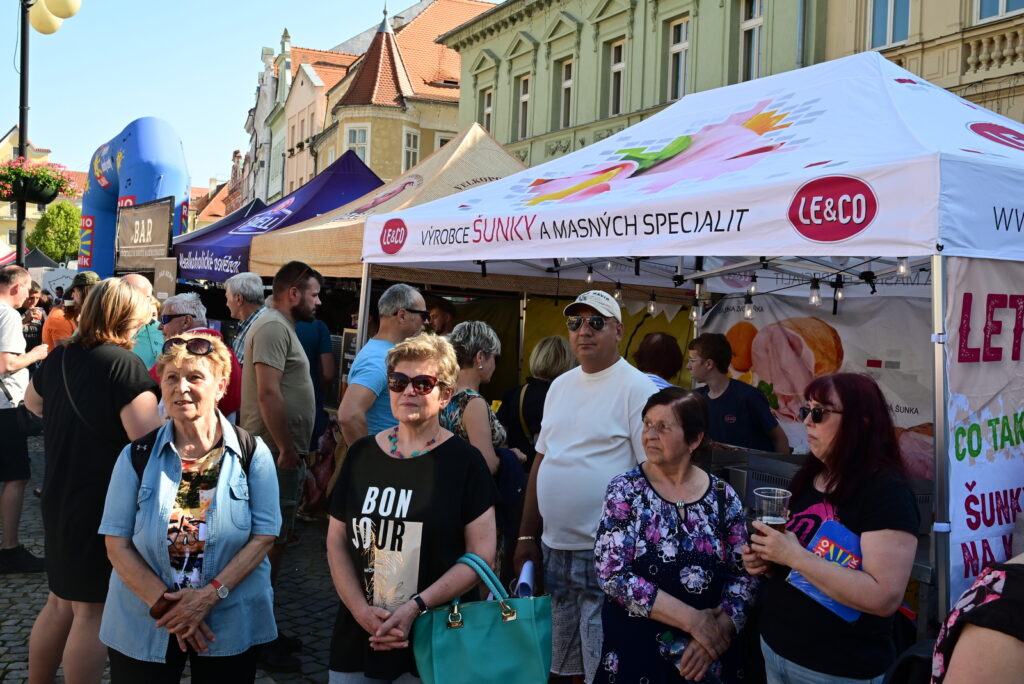 LK25-Zatec-100