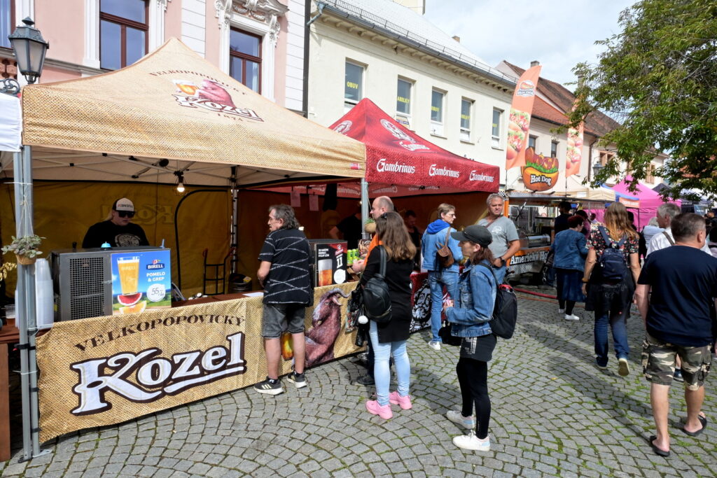 LK25-Rokycany-006